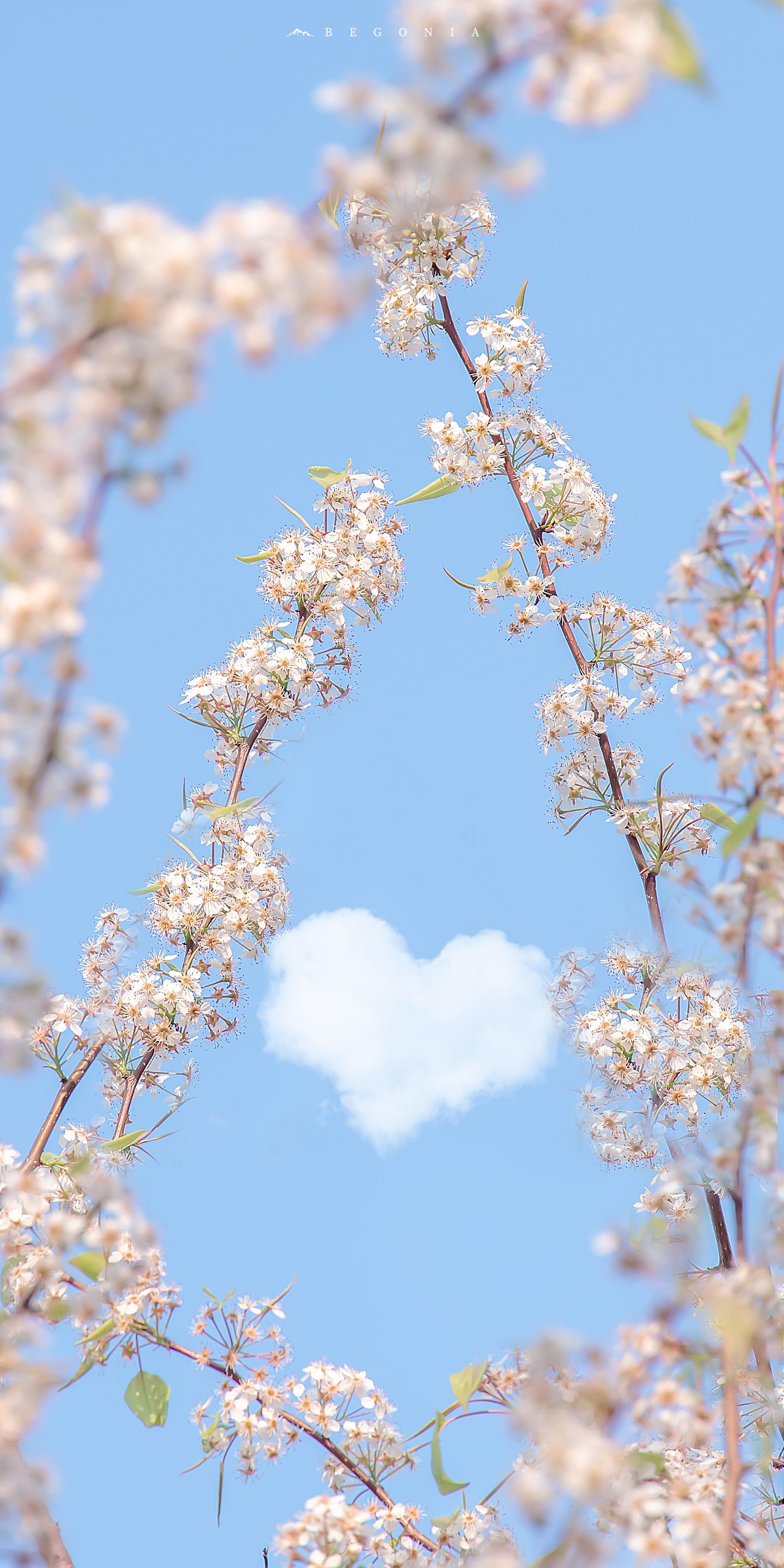 可以给我分享一下那种看起来贼舒服的壁纸吗? - 知乎