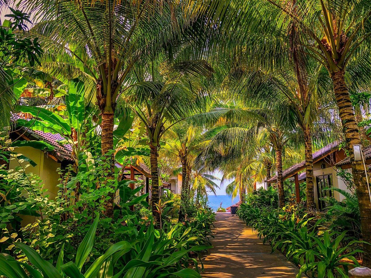 3. 书香门第雅居