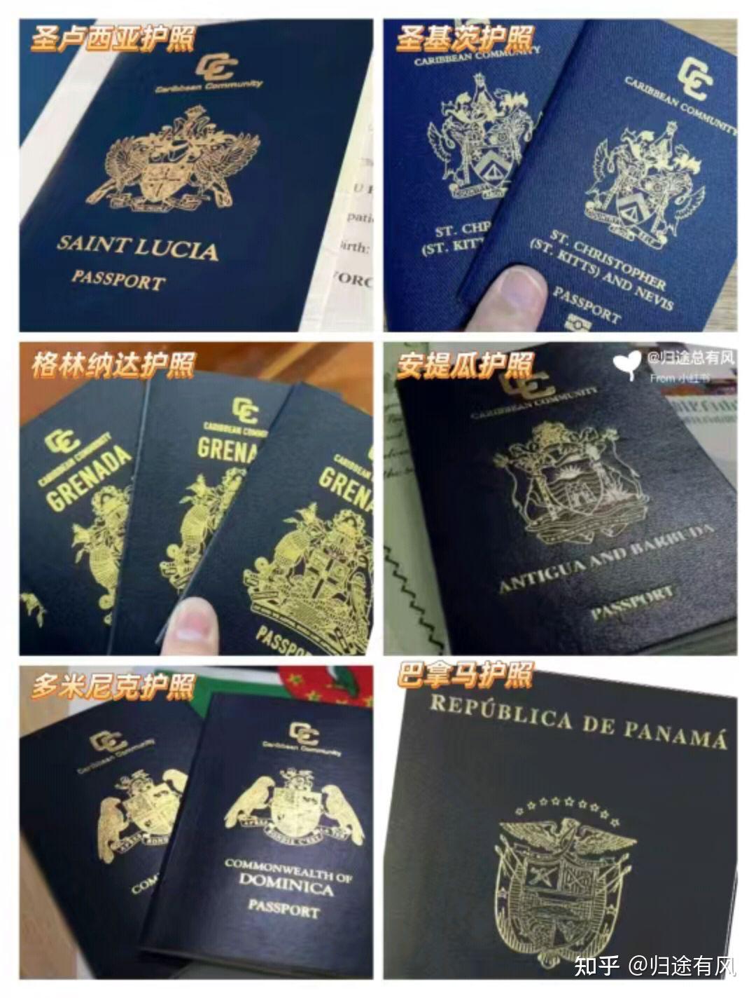 在2023年拥有一本海外移民护照可以行使哪些用途？ - 知乎