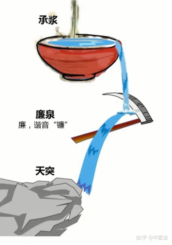 任脉穴位记忆 - 知乎