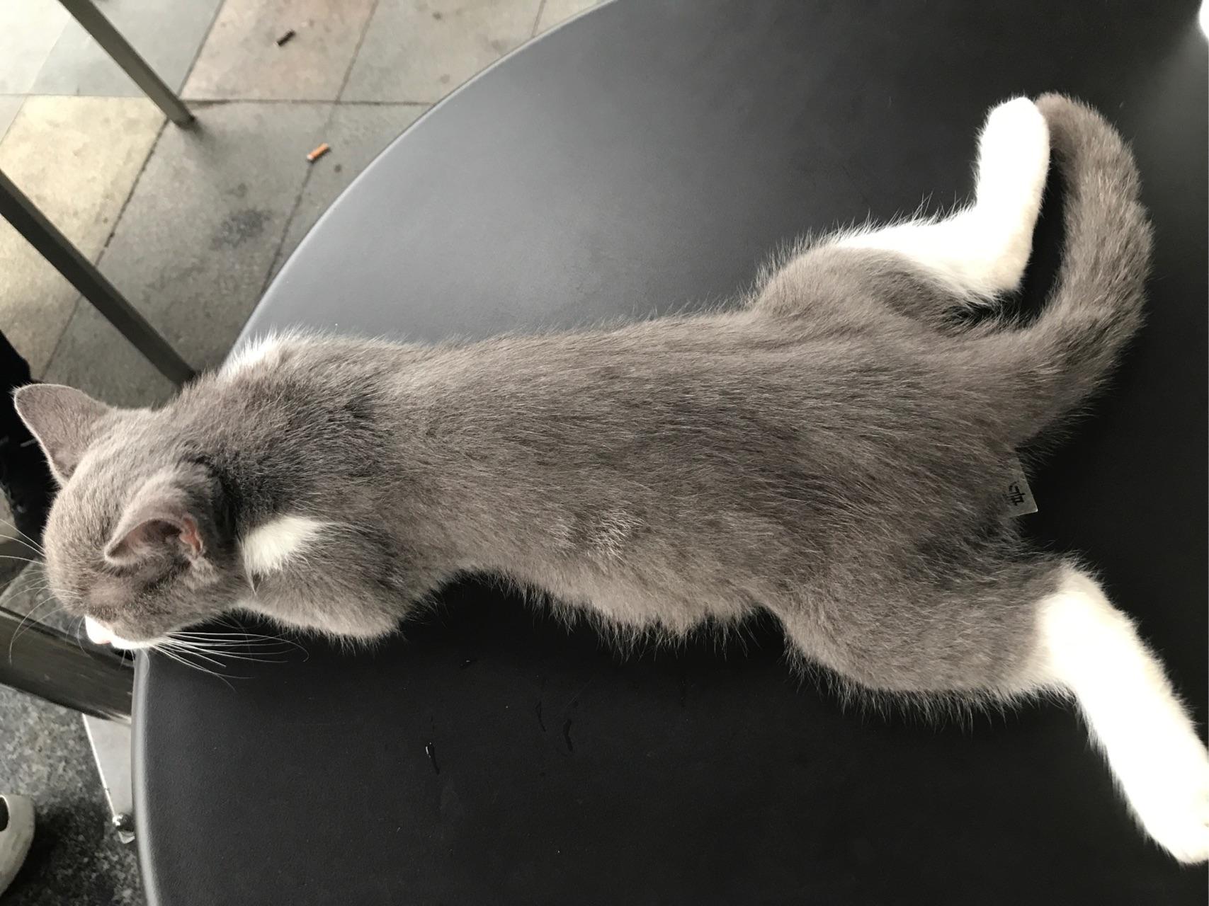 趴的意思(跋山涉水的意思) 趴的意思(跋山涉水的意思)