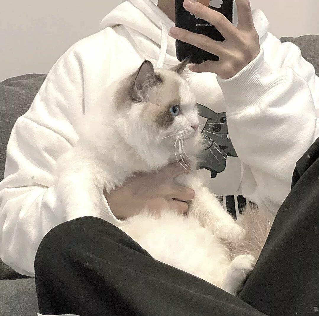 有没有男生抱着猫的头像呀?
