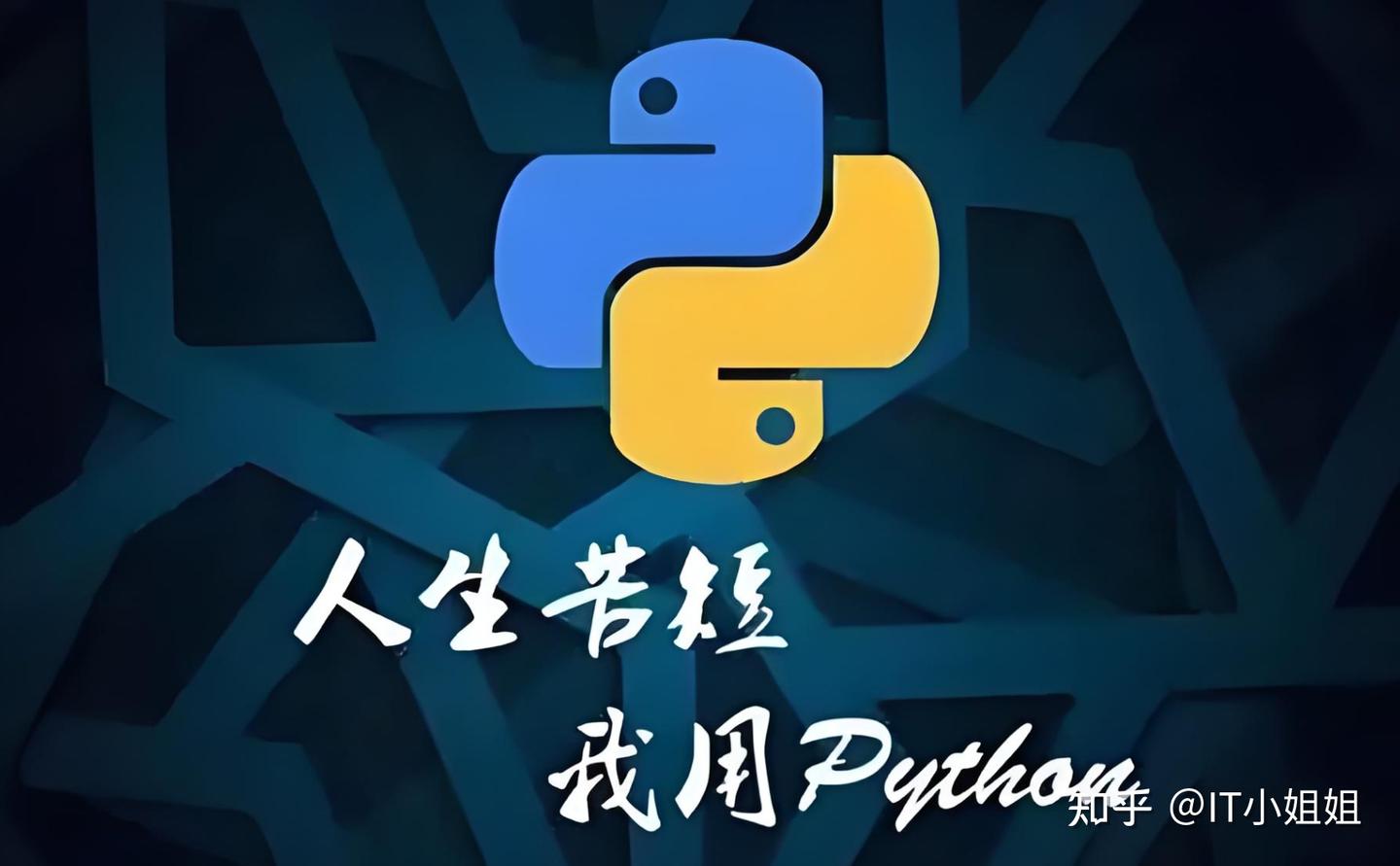 2025最新python实战项目实战指南,精选100个Python实战项目案例,100个爆火的Python实战项目,附源码资源+效果展示,零 ...