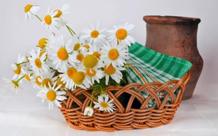 尽显 平和的奢华 知乎