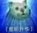 Mur猫表情包合集6 - 知乎