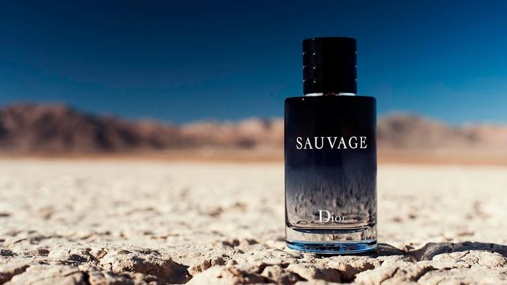 香評)Dior【Sauvage】旷野之心- 知乎