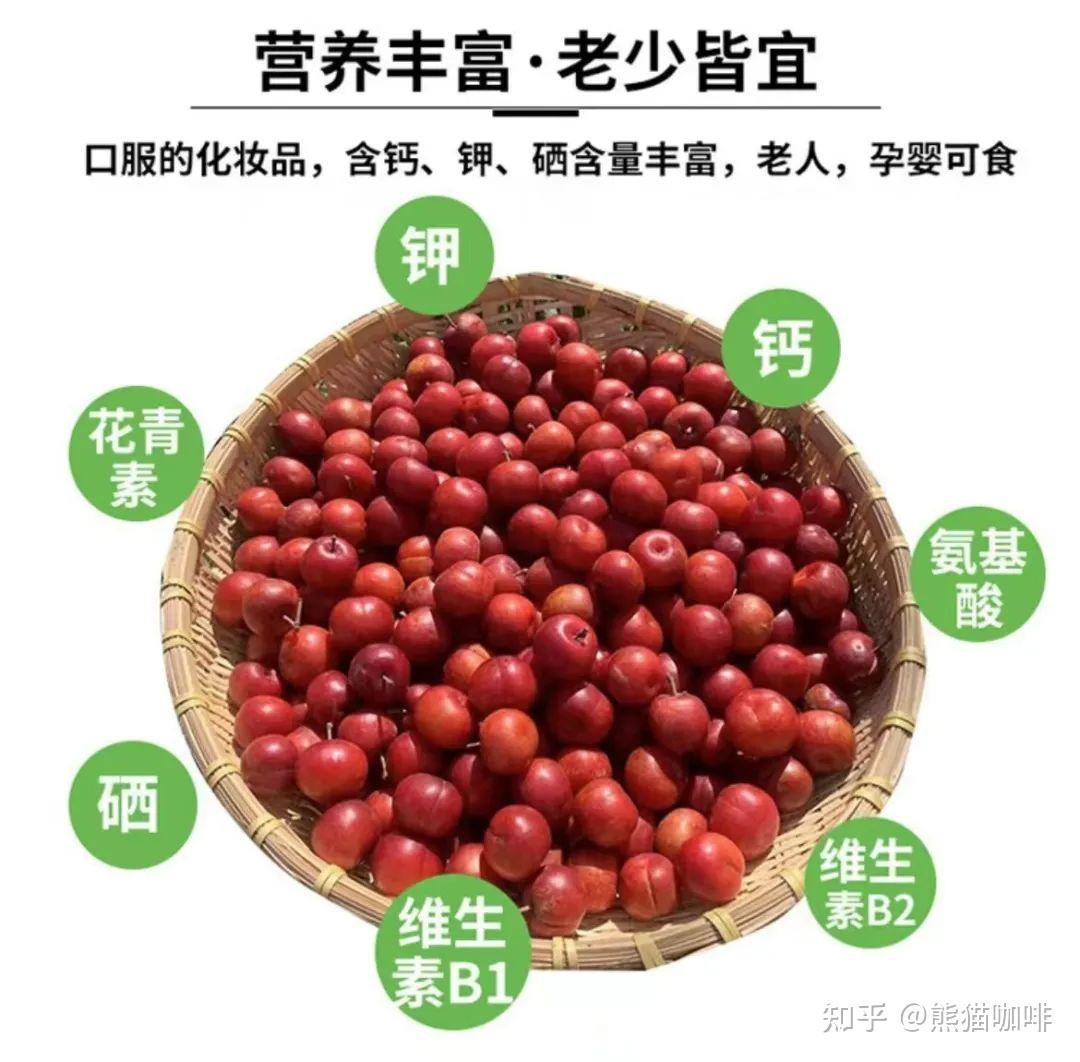 欧李,钙含量最高的水果 - 知乎