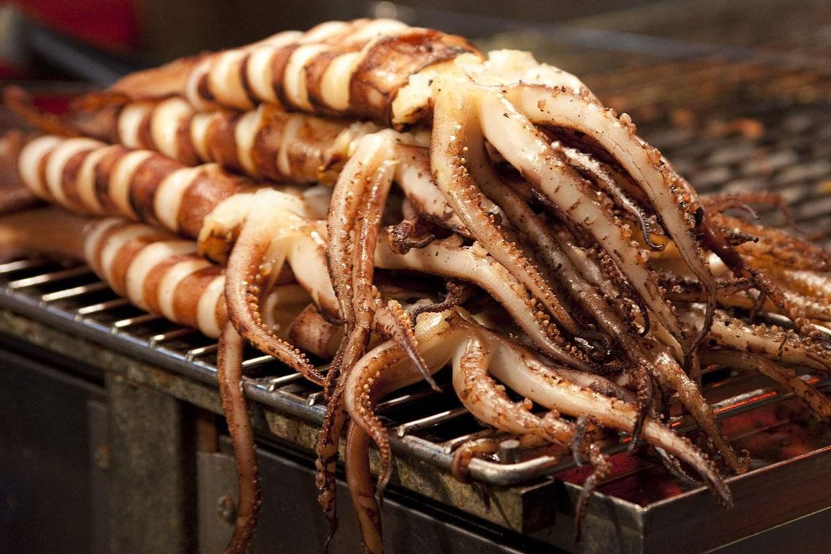 鱿鱼 章鱼 墨鱼 八爪鱼 乌贼傻傻分不清楚 一文教你记住它们 知乎