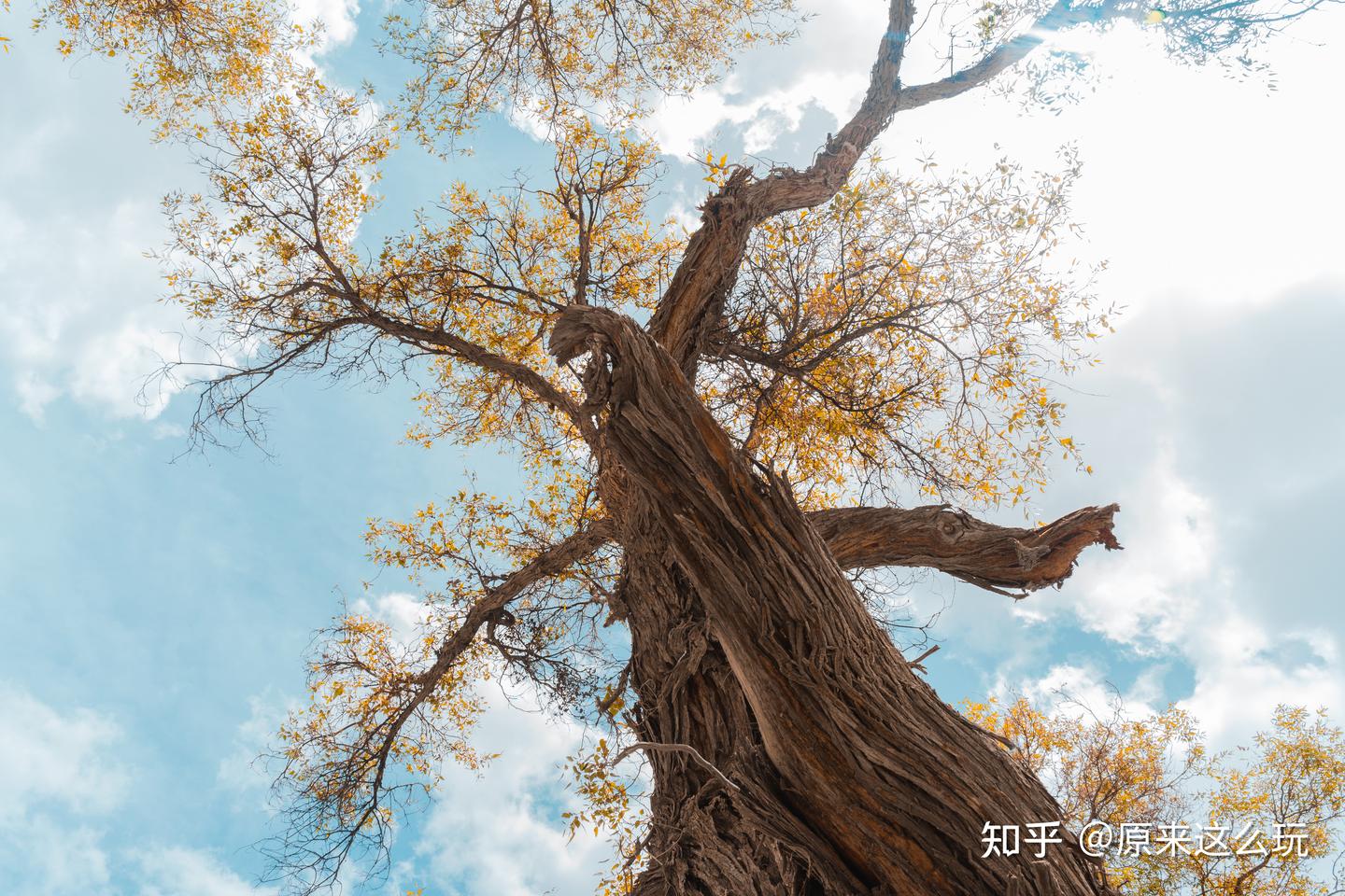 新疆大环线-D13塔中-库尔勒- 知乎