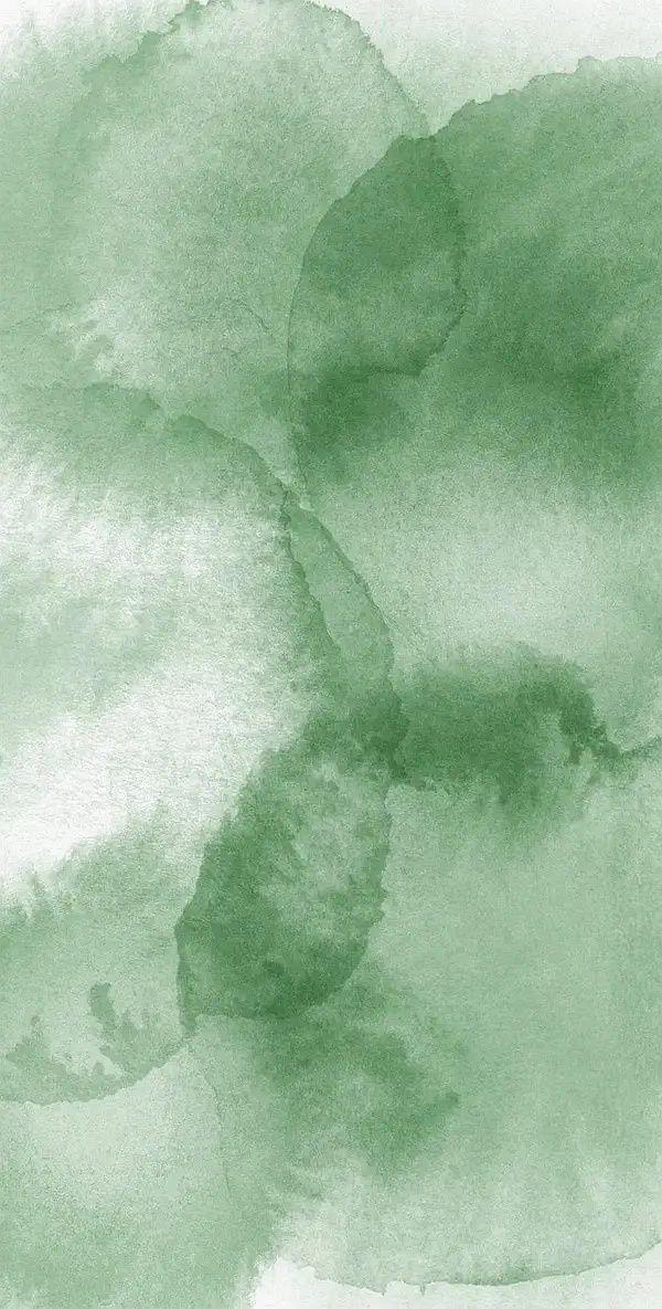 有哪些让你一眼万年的绿色系壁纸?(绿色壁纸大全图片清新自然)