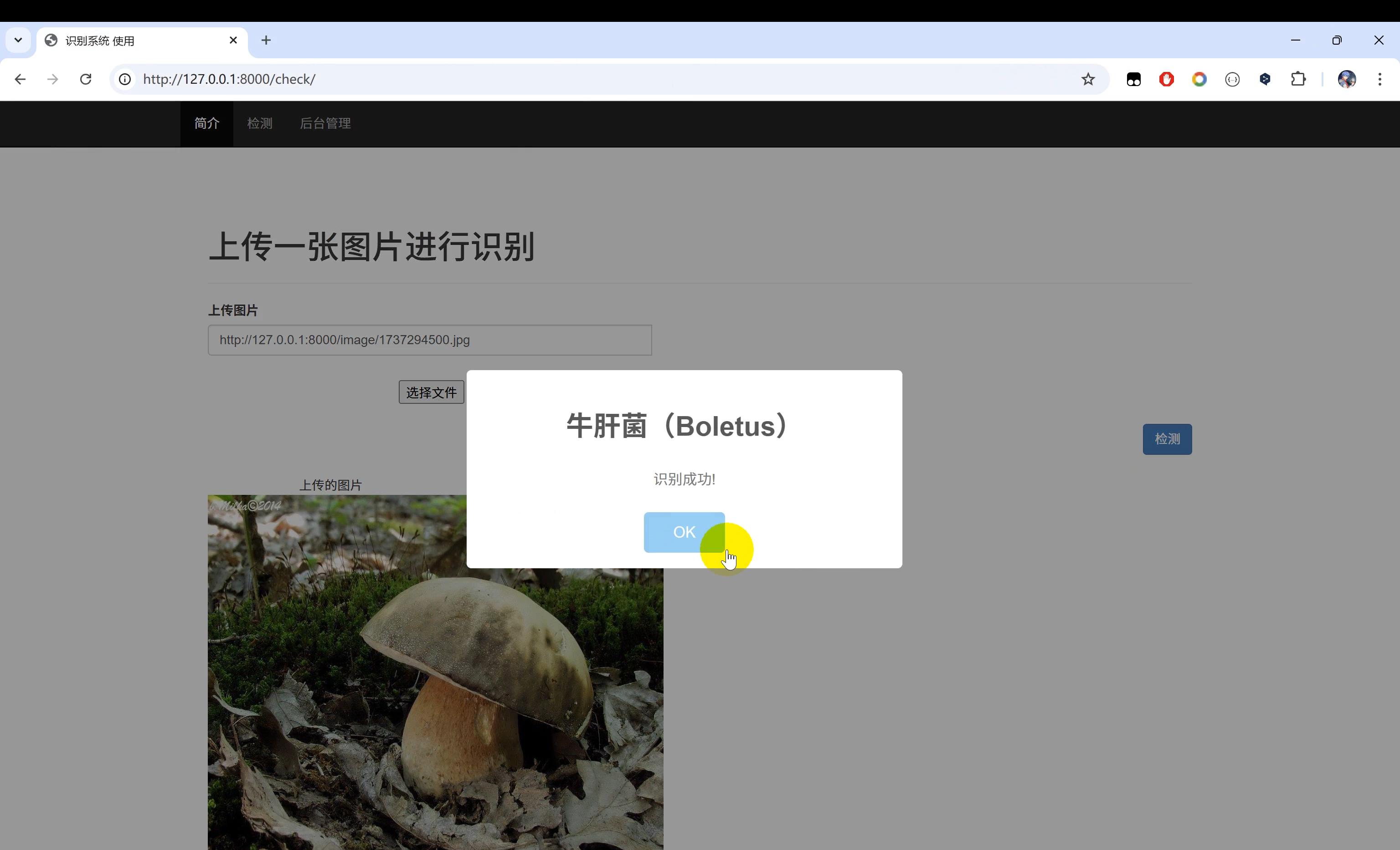 基于Python深度学习的【蘑菇识别】系统~卷积神经网络+TensorFlow+图像识别+人工智能 - 知乎