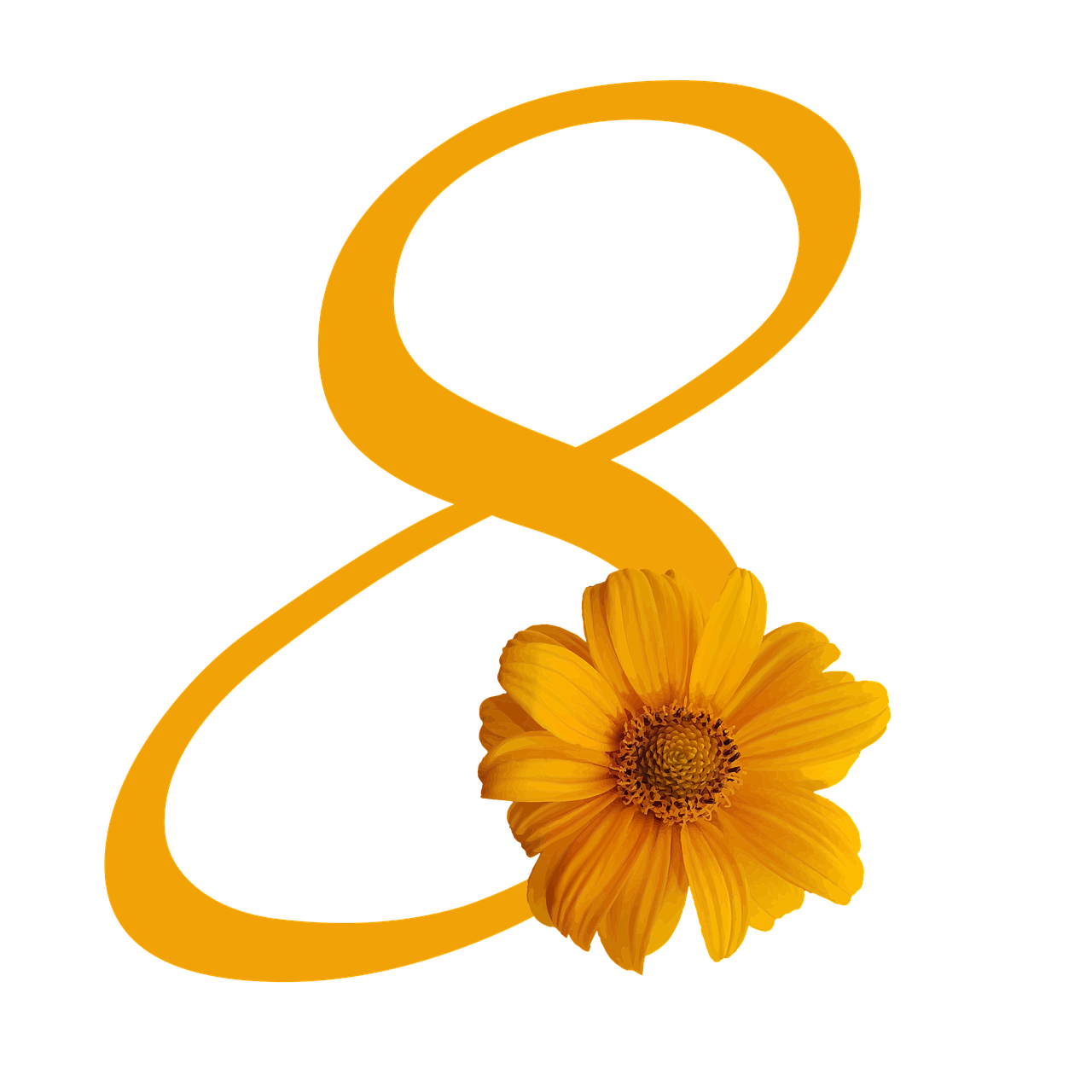 携手共庆，庆祝女性的独特节日