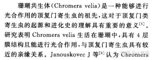 chromera velia是什么藻? - 知乎