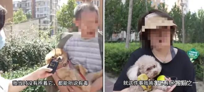 北京男子小区内毒杀9只宠物犬案宣判：获刑4年！他竟还当庭上诉 - 知乎