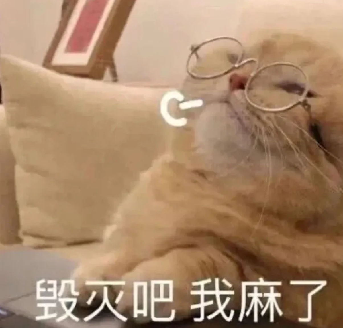 买扫地机不用懂专业术语,按“功能优先级”选就好|最后附上科沃斯T90 Pro洗地机器人实测体验