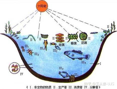 生态系统之结构及其调节 - 知乎