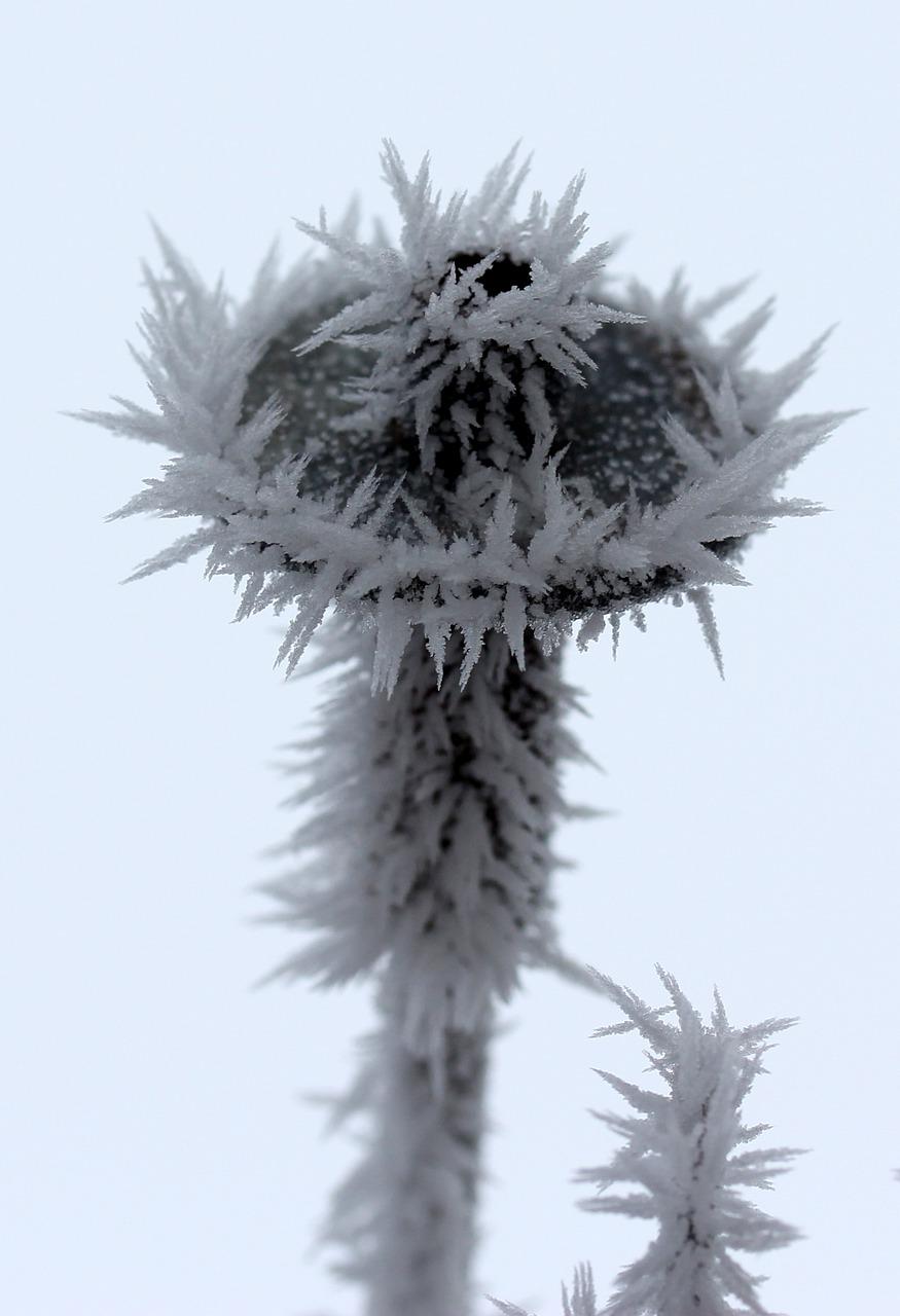 如何除去冰箱的厚霜