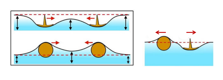为什么漂浮在液面上两固体,均被浸润或均不被浸润时表面张力使之相互