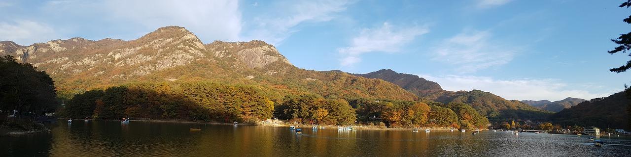 4. 户型多样选择