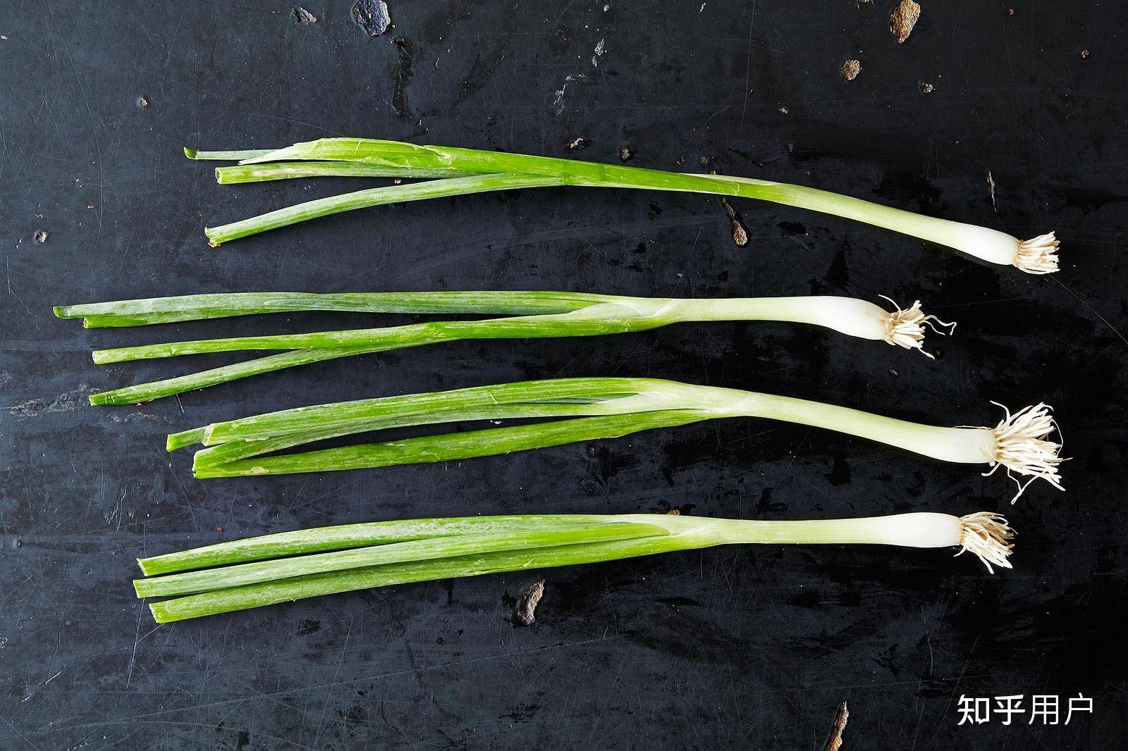 chive,leek,scallion,shallot有什么区别? - 知乎