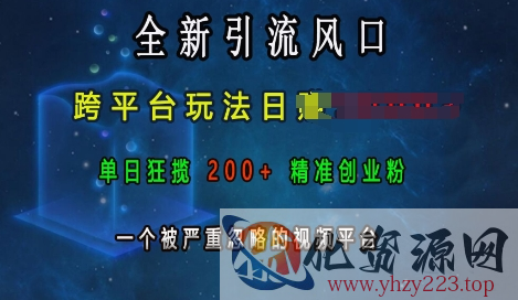 全新引流风口，跨平台玩法日入上k，单日狂揽200+精准创业粉，一个被严重忽略的视频平台