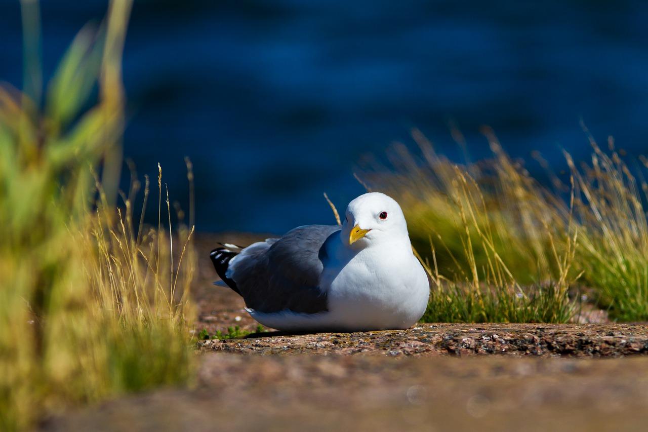 3. 双卧户型特点