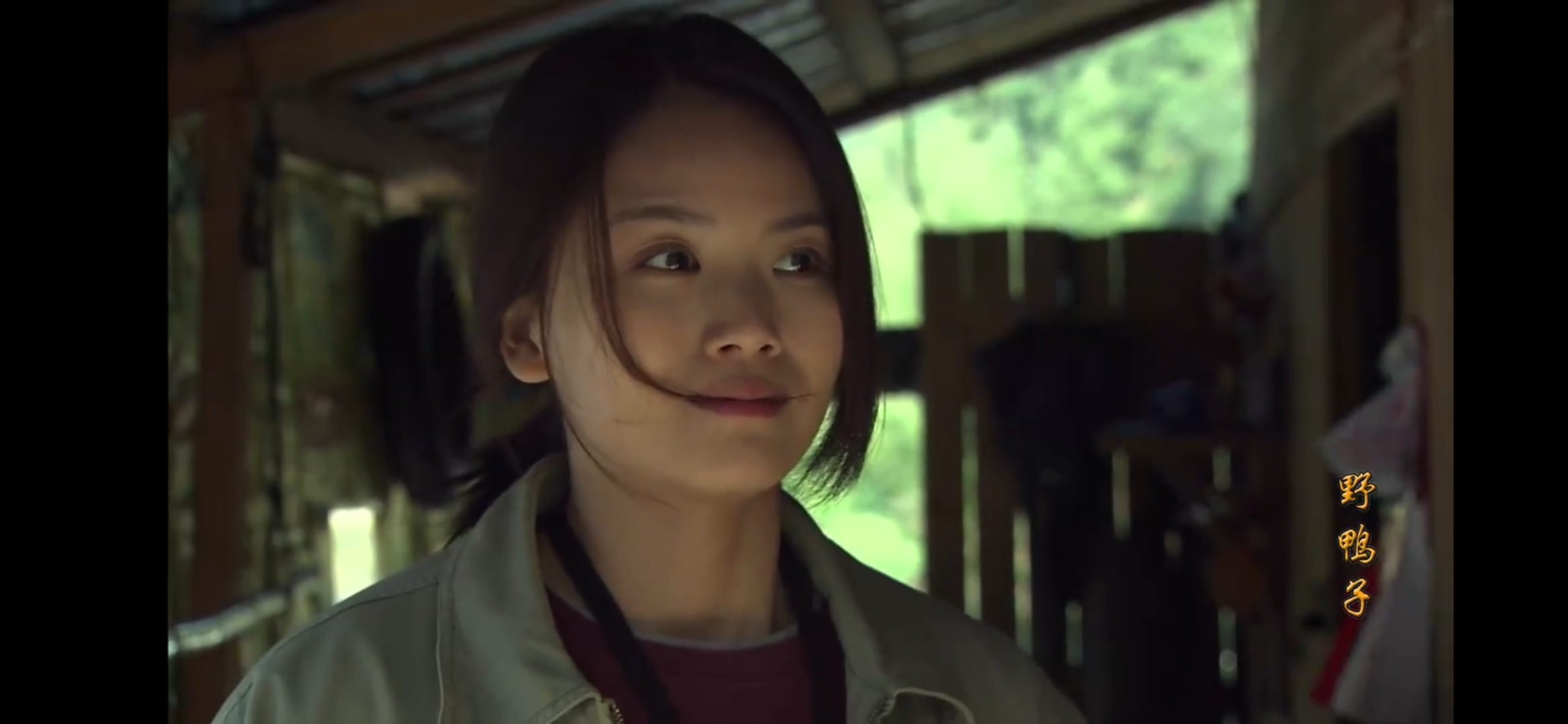 如何评价电视剧《野鸭子》中演员的表现? - 知乎