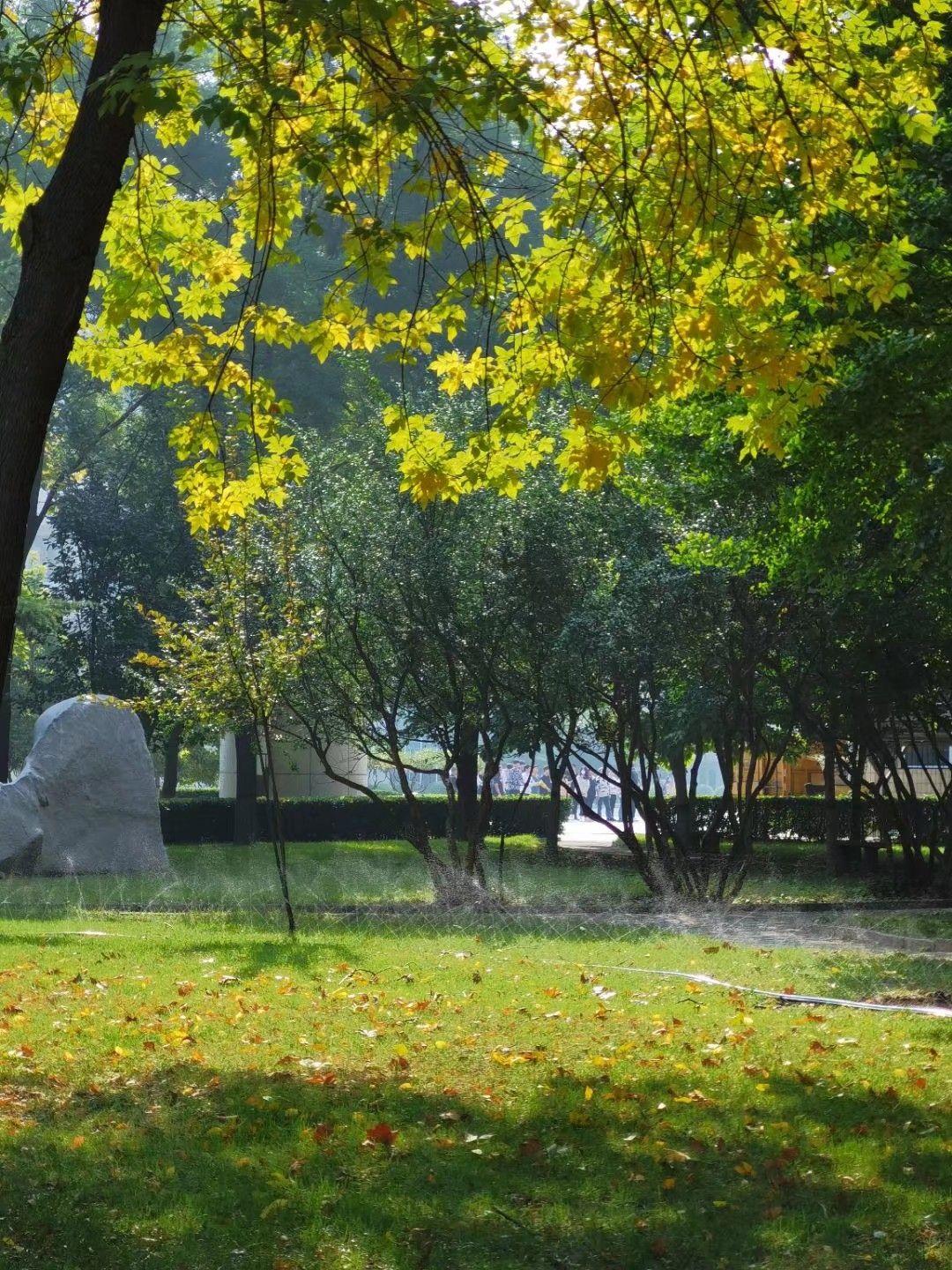 有哪些華北電力大學的校園風景讓你即便畢業也會念念不忘