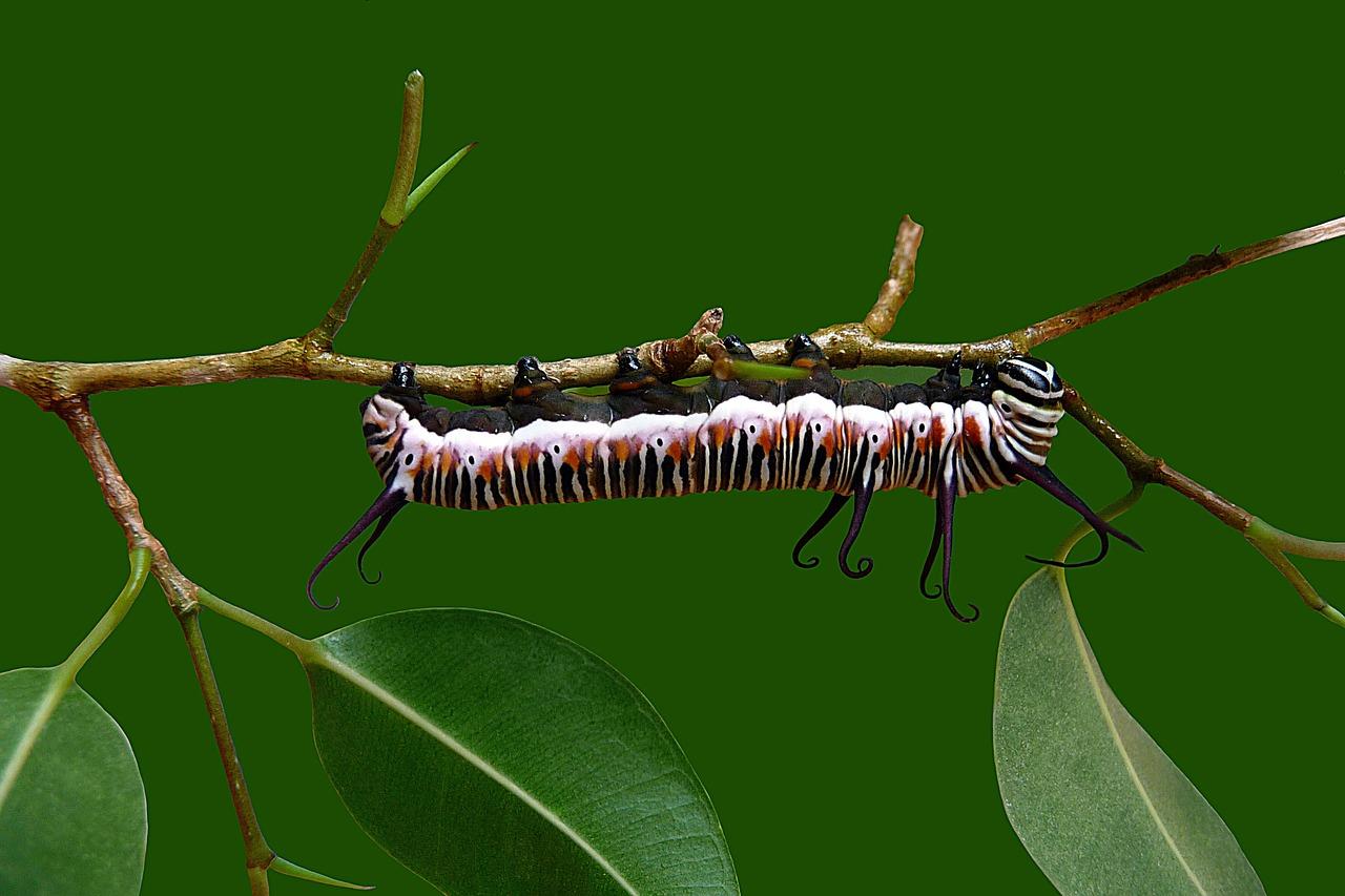 内在力量的觉醒