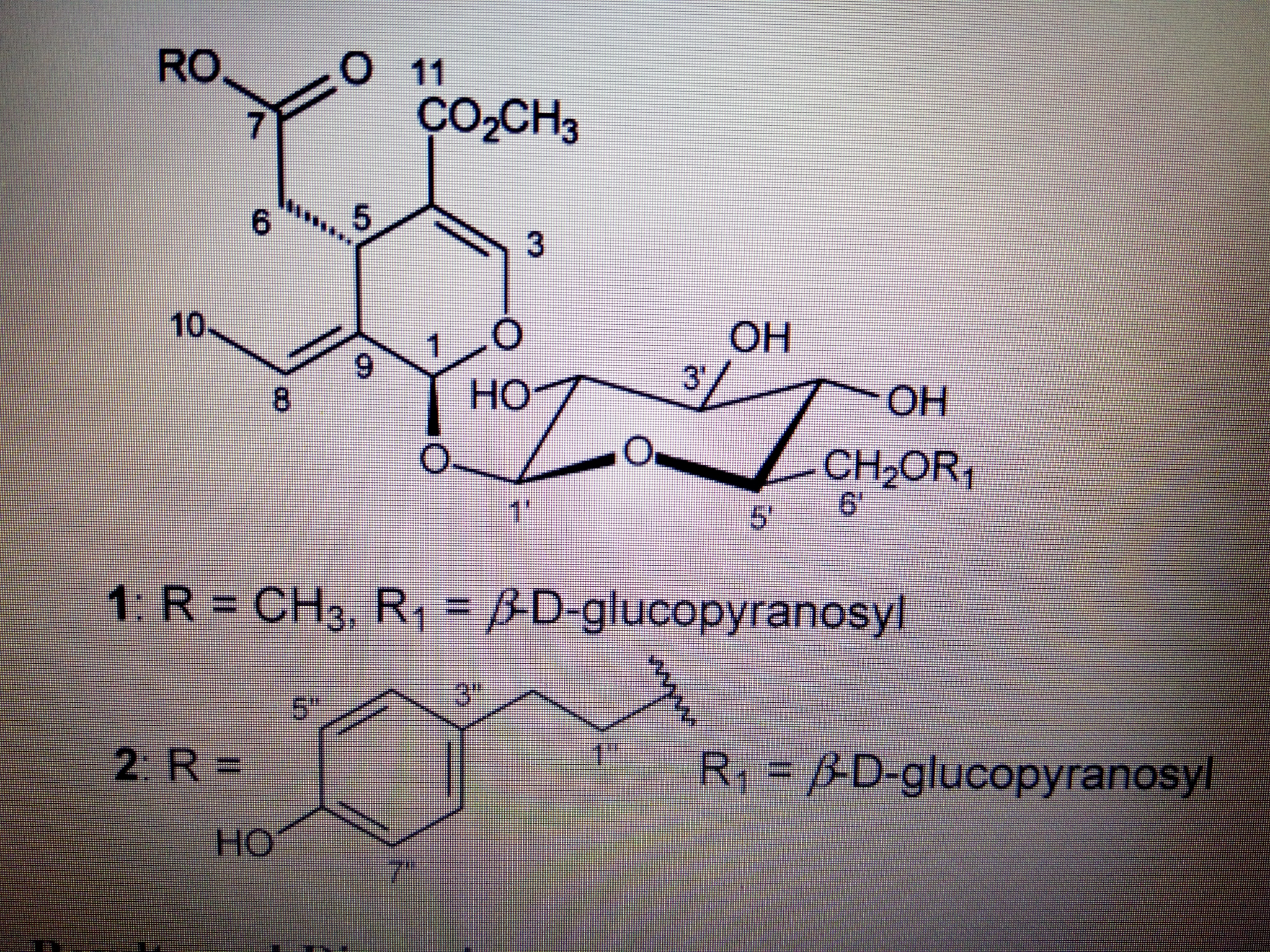 裂环烯醚萜化合物的命名