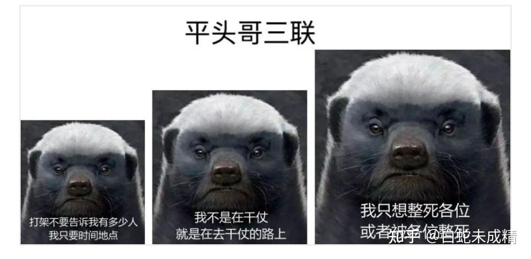 偷钱的人