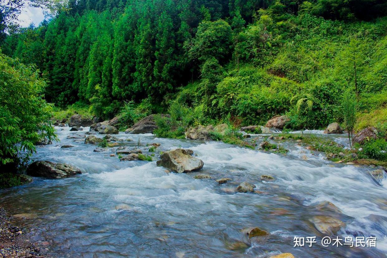 到山里去,8个森林环抱的好地方,过几天山居生活,回归纯粹 - 知乎