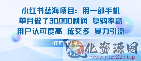 小红书蓝海项目，一部手机单月做了3W利润，小白也能月入过1W用户认可度高成交多
