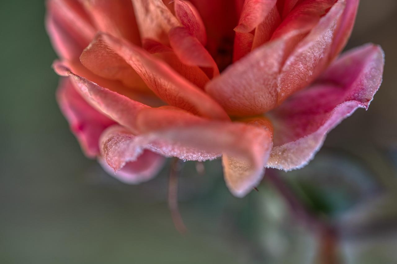 2. 空调冷感体验