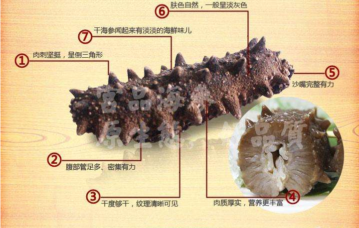 v2-745767a967b2e19d0de18e63d0c4e1e2_1440w.jpg?source=172ae18b