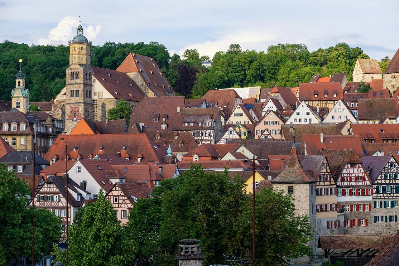 新建区有什么大学