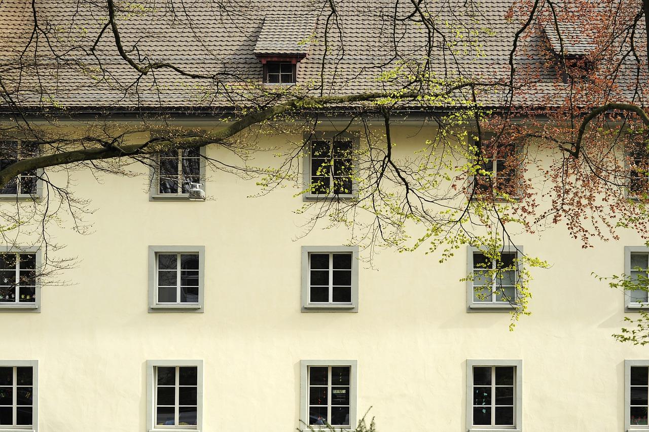 2. 防晒植物选择