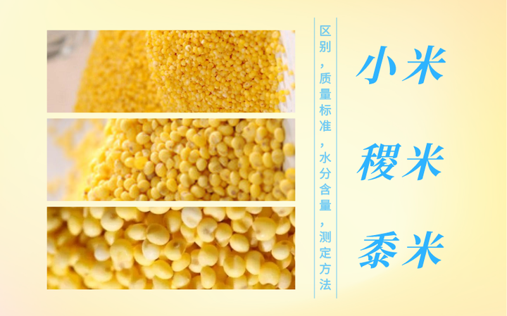 小米、稷米和黍米:区别,质量标准,水分含量,测定方法 - 知乎