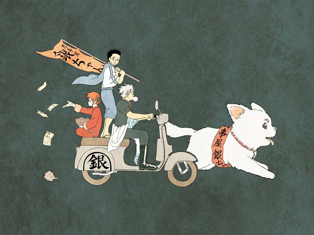 Zhihu banner for @egotistical
