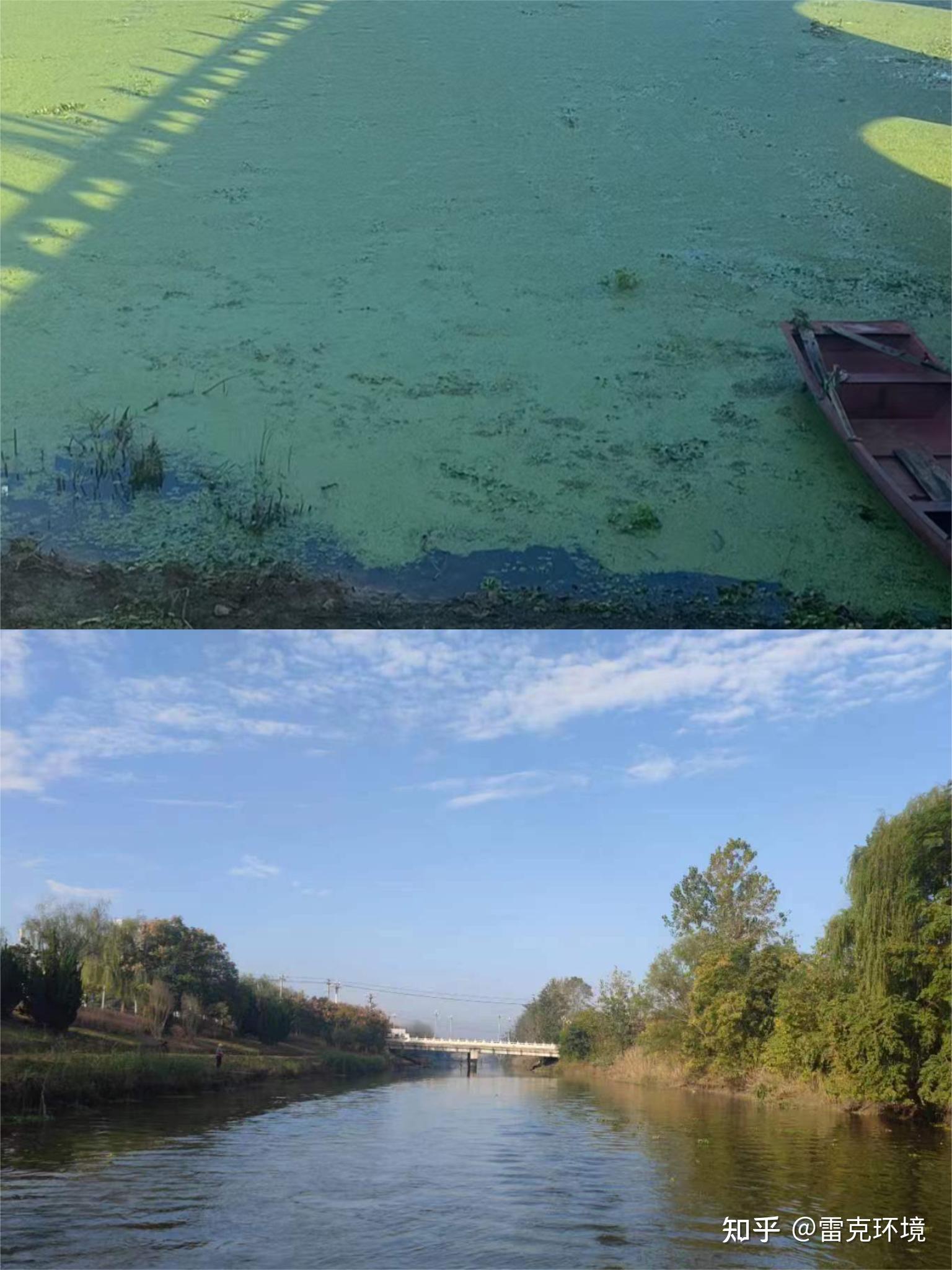 为什么要开展农村黑臭水体整治? - 知乎