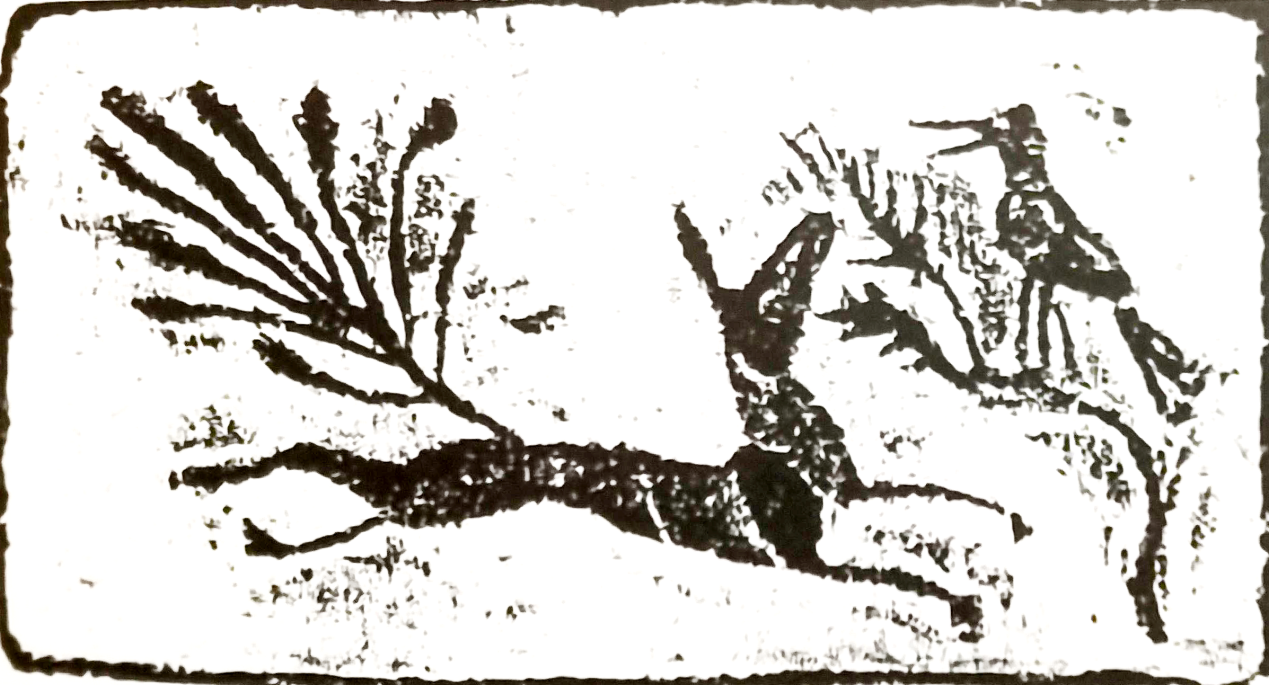 九尾狐的青丘国- 知乎