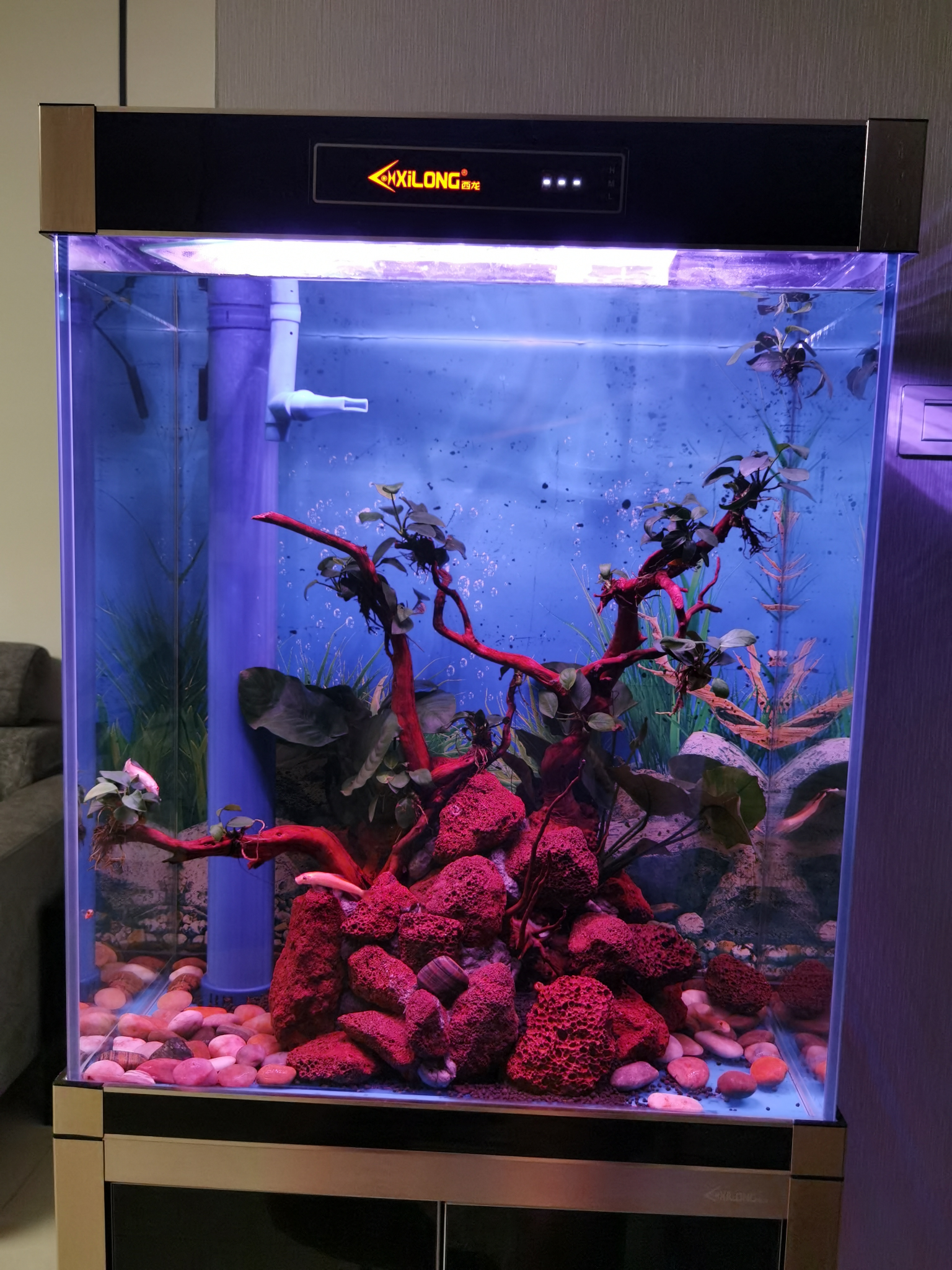 60底滤水族箱能造景吗? - 知乎