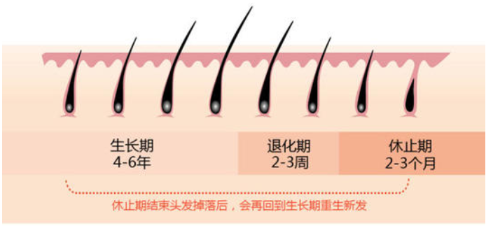 咋判断自己的发量是不是稀少啊? - 知乎