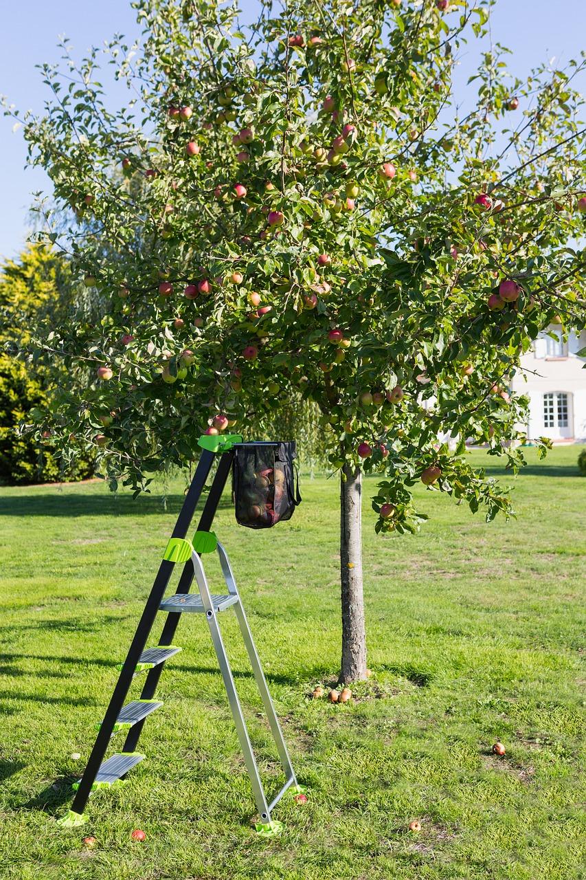 家用梯子什么合适