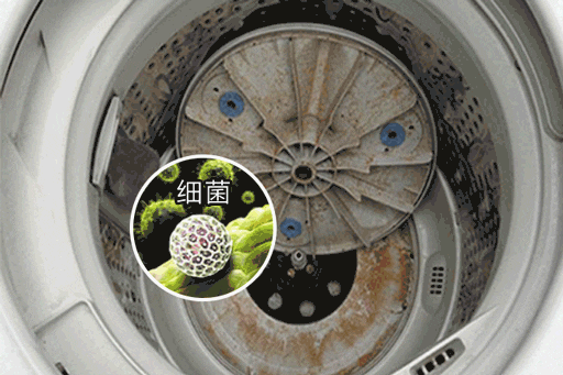 当心!洗衣机这2个“隐藏开关”不清洗,衣物越来越脏~