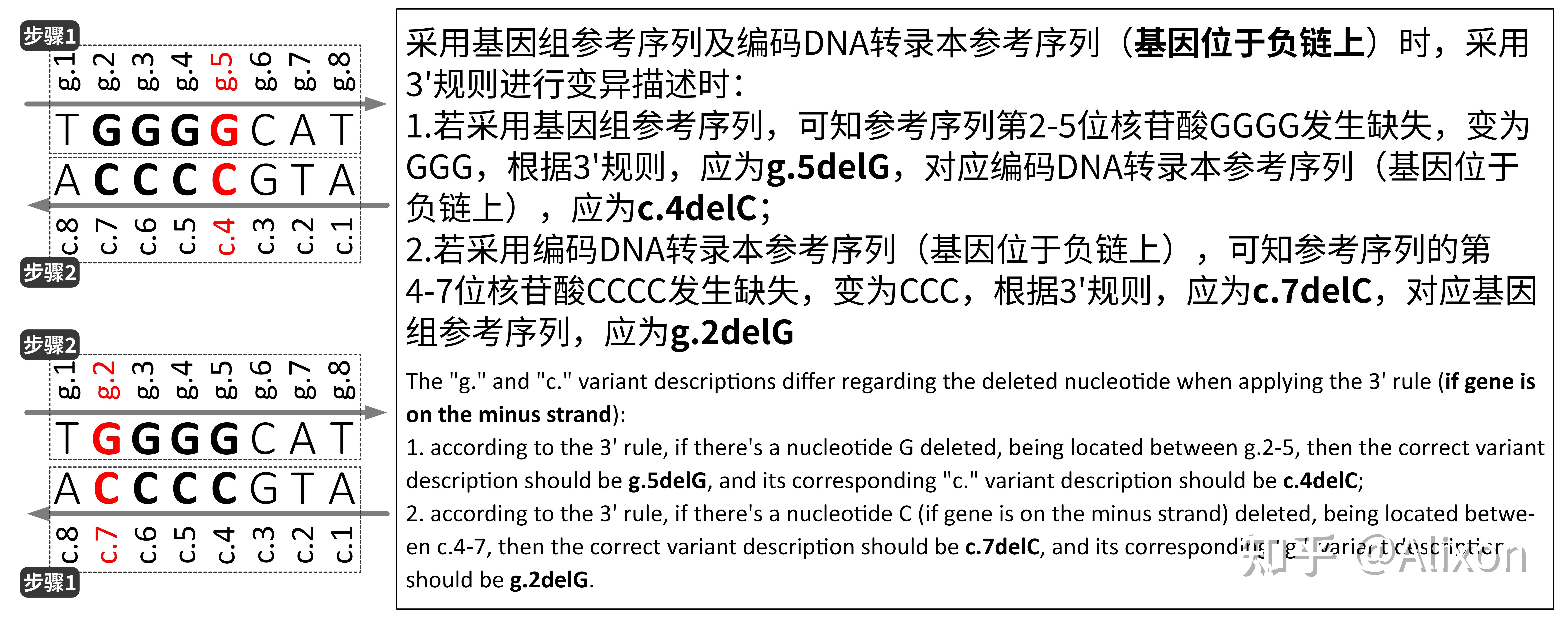 HGVS关于变异描述的命名法及常见注意事项初步介绍 - 知乎