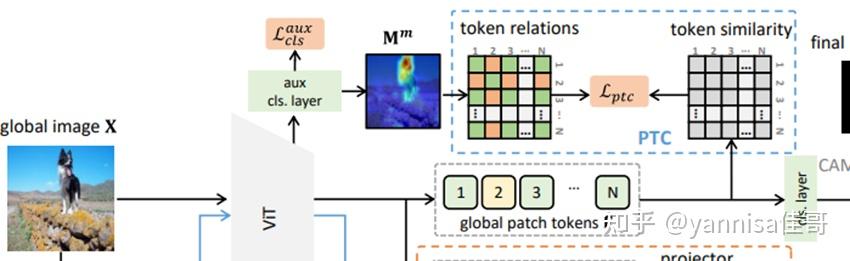 Token Contrast for Weakly-Supervised Semantic Segmentation —— CVPR2023 - 知乎