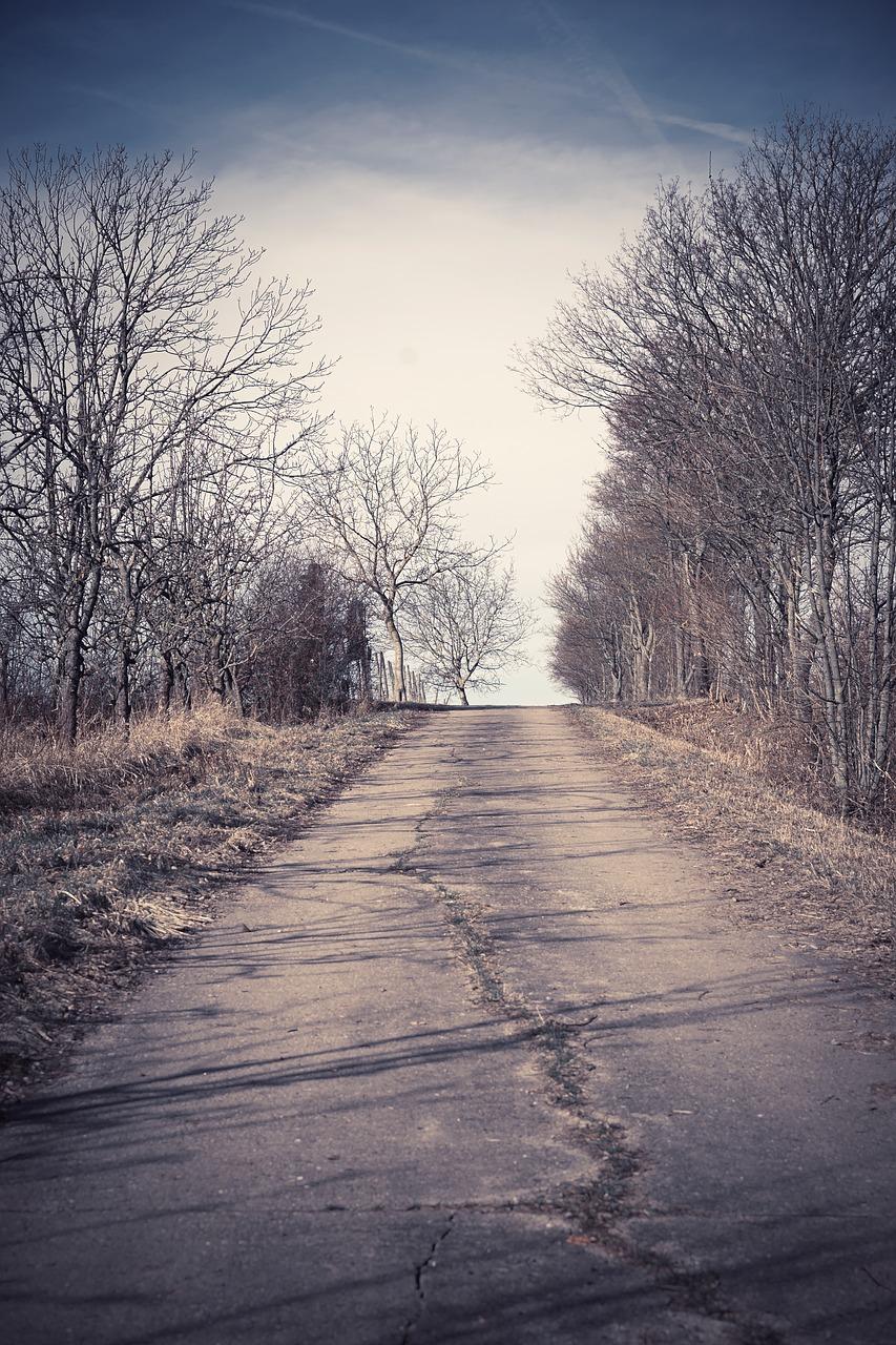 南大步巷是哪里