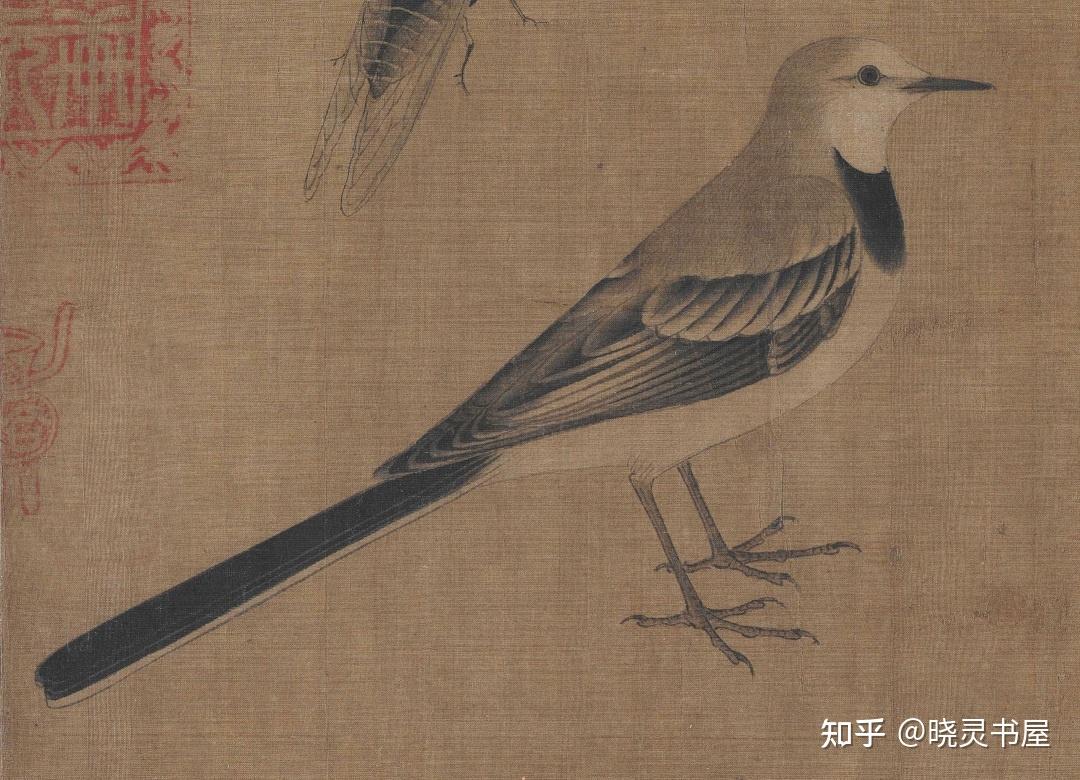 五代黄筌 | 《写生珍禽图》卷 - 知乎