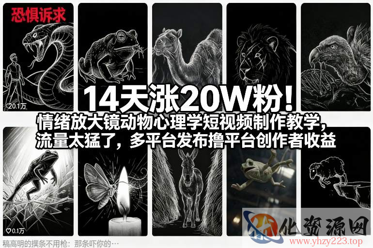 14天涨20W粉！情绪放大镜动物心理学短视频制作教学，流量太猛了，多平台发布撸平台创作者收益